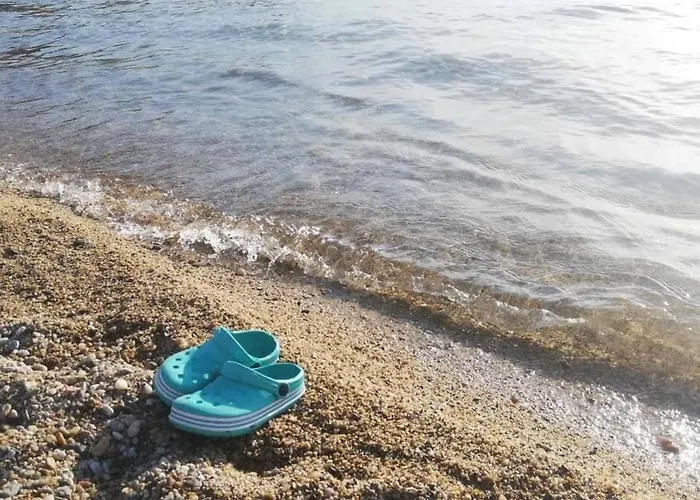 Dimitra's Family 3 بيت للعطل